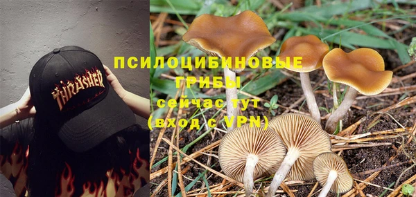 spice Медногорск