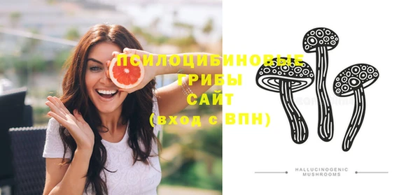 спайс Медвежьегорск