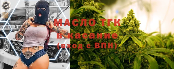 гидра Мегион
