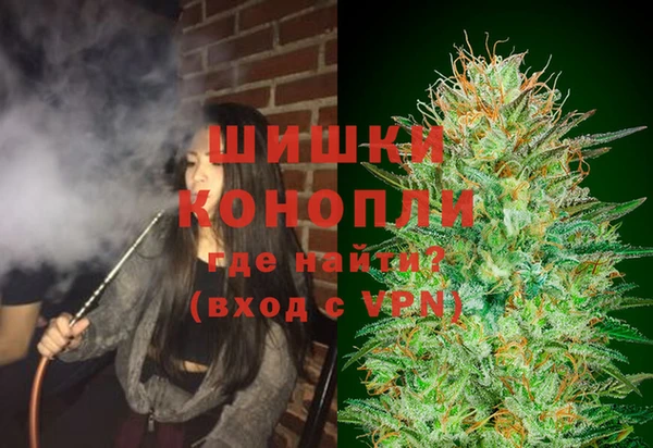 спайс Медвежьегорск