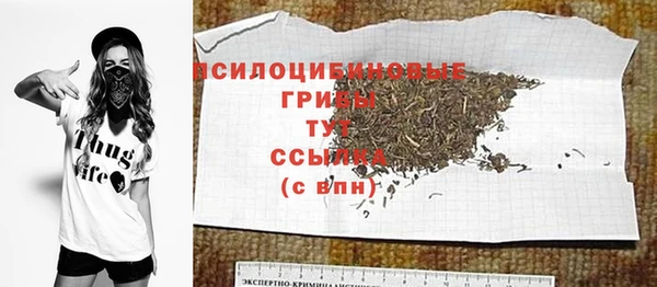 spice Медногорск