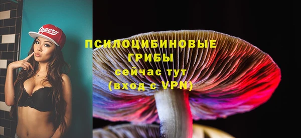 спайс Медвежьегорск
