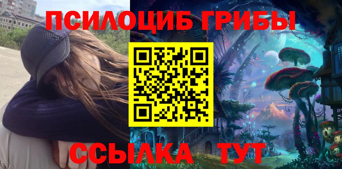 Галлюциногенные грибы Psilocybe Архангельск
